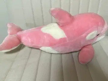 범고래 BIG 봉제 인형 카모가와 씨월드