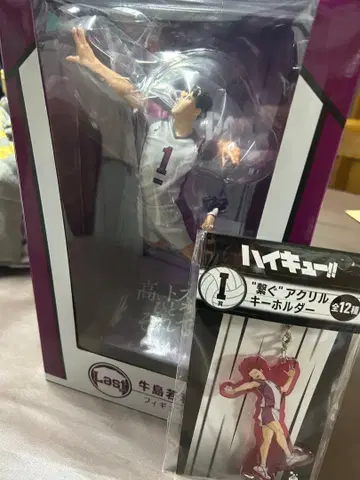 우시지마 와카토시 피규어