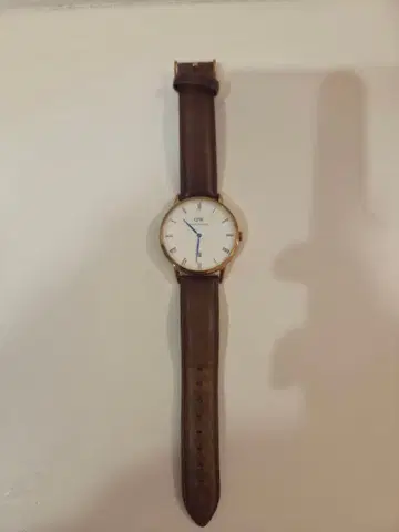 Daniel Wellington B38R2 다니엘 웰링턴