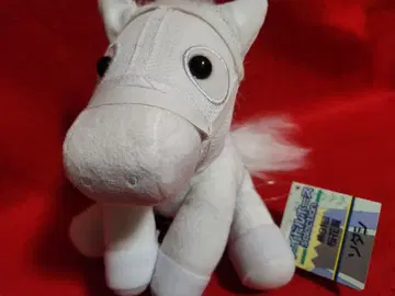 경마 아이돌 호스 봉제 인형 소다시 말