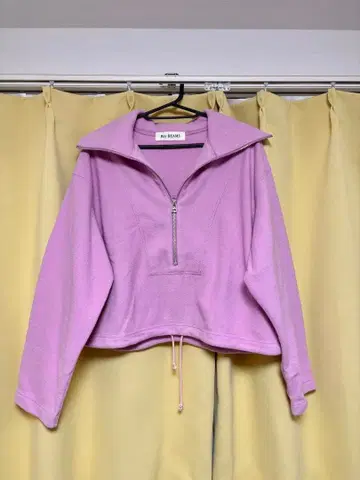 Ray BEAMS / 퍼플 / 하프 지퍼 후드티