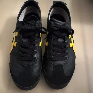 onitukatiger Mexico66