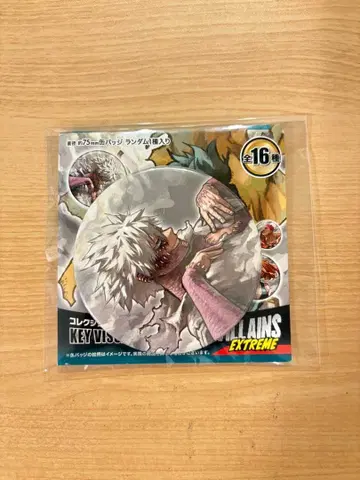 히로아카전 캔뱃지 다비