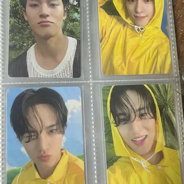 세븐틴 민규 디노 포카 양도