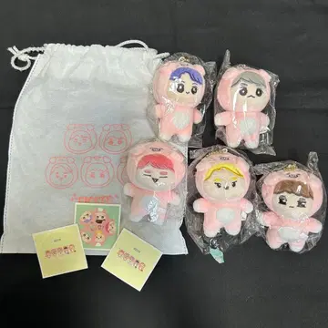 SHINee 피그니 5체 세트