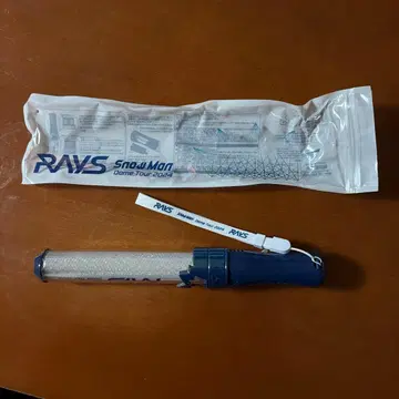 RAYS SnadMan Dame Tour 2024 응원봉