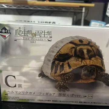 파충류 & 양서류 제일복권 C상 헤르만 육지거북