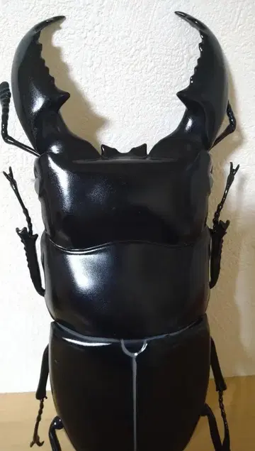 넓적사슴벌레 MEGA 피규어 곤충 사슴벌레 넓적 BIG