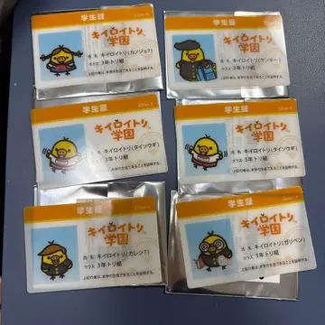 [ 미사용 ] 키이로이트리 학원 학생증풍 카드 6장 세트