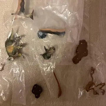 공룡 발굴기 백악기