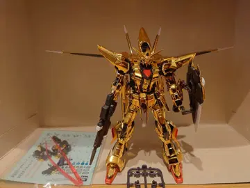 RG 아카츠키 오오와시