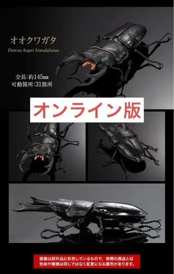 생물대도감 어드밴스 오오쿠와가타 온라인판 2