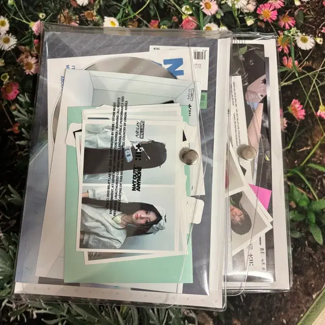 아일릿 2종 일괄 개봉 앨범 낫큐트애니모어 not cute anymore