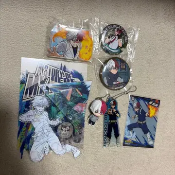 토도로키 쇼토 캔뱃지 키링 7개 세트