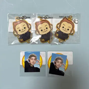 BALLISTIK BOYZ 오쿠다 리키야 증명사진 BBZOO 연결 참