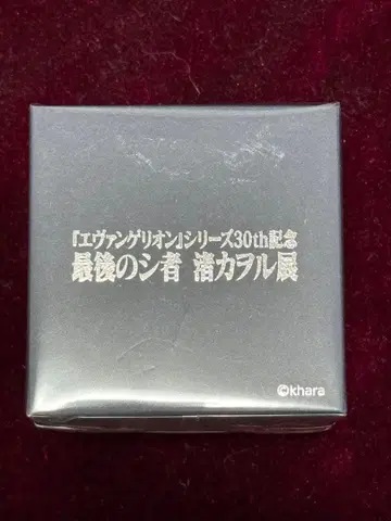 에반게리온 마지막 사도 나기사 카오루전 DSS 초커풍 반지