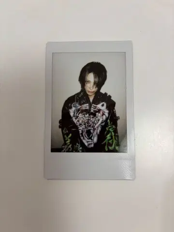 달콤한 폭력 사키 폴라로이드