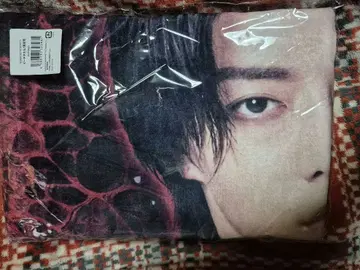 High&Low 스사키 료 비치 타월