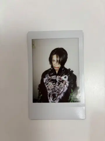 달콤한 폭력 사키 폴라로이드