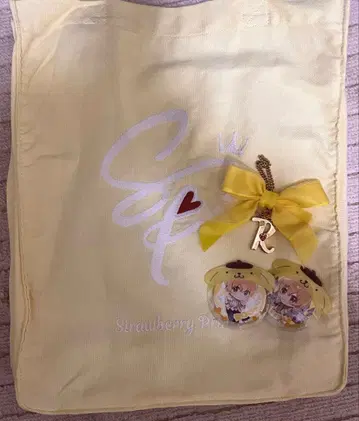 [덤 포함] STPR 스토푸리 루토 토트백