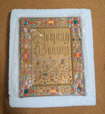 잠자는 숲속의 공주 소품함 Story Collection 디즈니 스토어