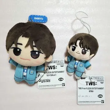 TWS 시뉴 봉제 인형 세트 케이스 포함