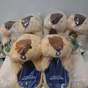 마모트의 더더욱 껴안는 봉제 인형 슬리퍼 2종 3개 세트