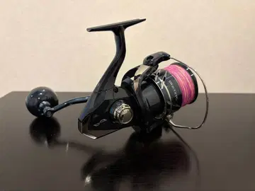 시마노 24 스트라딕 SW 6000PG