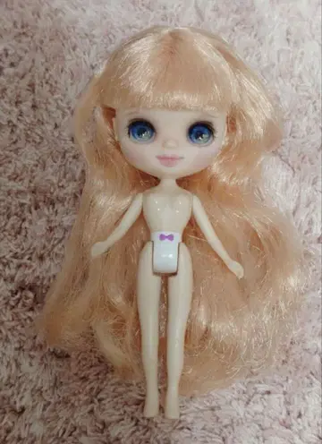 커스텀 미니 브라이스