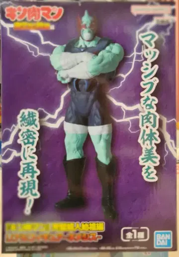 근육맨 완벽 초인 시조편 리얼 피규어 네메시스