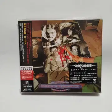 카르카스 시체 애호벽