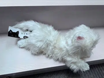 무릎 고양이 M 페르시안 봉제 인형 고양이 크리스마스 택 포함 화이트