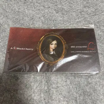 Acid Black Cherry ABC 티켓 홀더 티켓 케이스