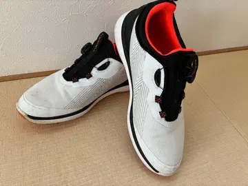 TIGORA 극 핏 TR-0S1000 골프화 새상품급