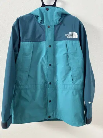 레어 컬러 THE NORTH FACE 마운틴 후드티