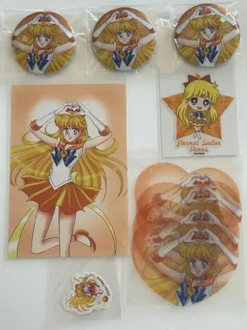 세일러문 세일러 비너스 세트