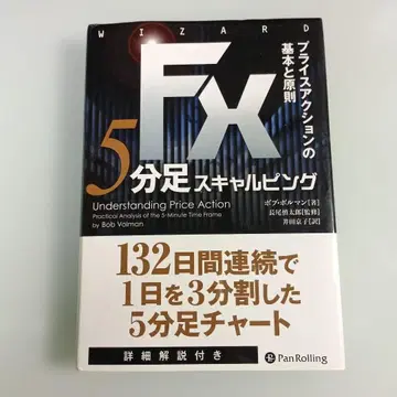 FX 5분 핑 프라이스 액션의 기본과 원칙