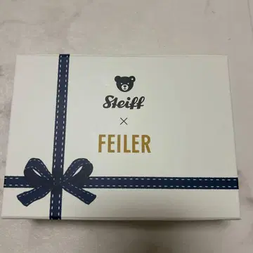 페이러 x 슈타이프