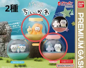 치이카와 카프세리움 토끼 치이카와