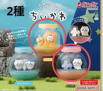 치이카와 카프세리움 토끼 치이카와