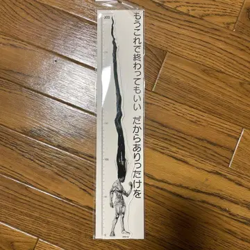 머리카락 측정 눈금자 약 300mm