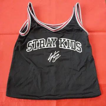 STRAY KIDS dominATE 업그레이드 메쉬 백