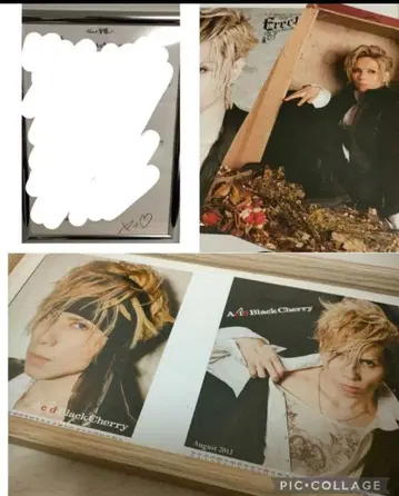 AcidBlackCherry yasu 편지 엽서 마드모