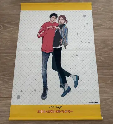 이치카와 케이 태피스트리 허니밀크 스트레이 레트 베이베