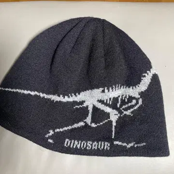 공룡 그래픽 비니 블랙