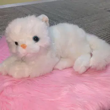 화이트 고양이 봉제 인형 엎드림