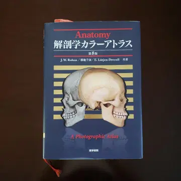 해부학 컬러 아틀라스