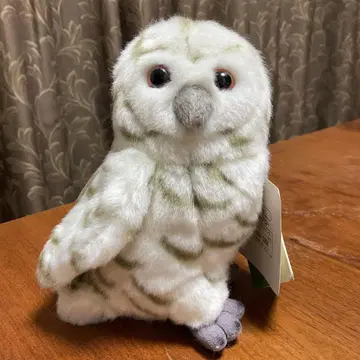 택 포함 [ WWF ] Anna Club Plush 흰올빼미 봉제 인형