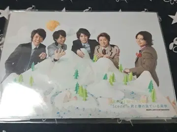 [ 연말 세일 ] 공식 아라시 10-11 TOUR 'Scene' 집합