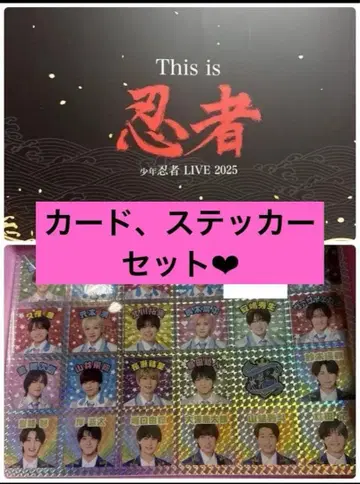 소년 닌자 This is 닌자 닌코레 스티커 세트 2.